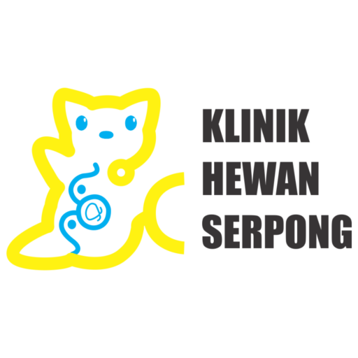 klinik dokter hewan bsd